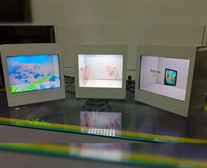 透明展示柜（ 6 ）
